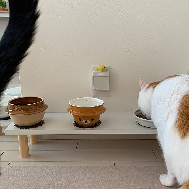 bikkeさんの実例写真