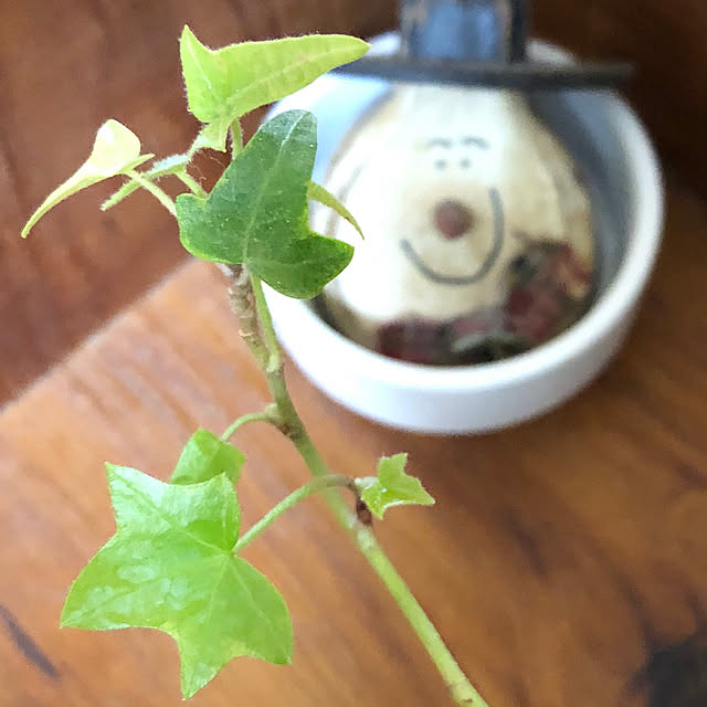 yukkoさんの実例写真