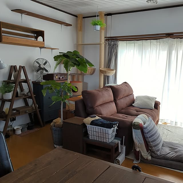 ichigo100さんの実例写真