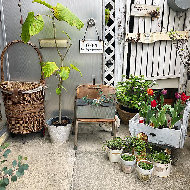 coraruさんの実例写真