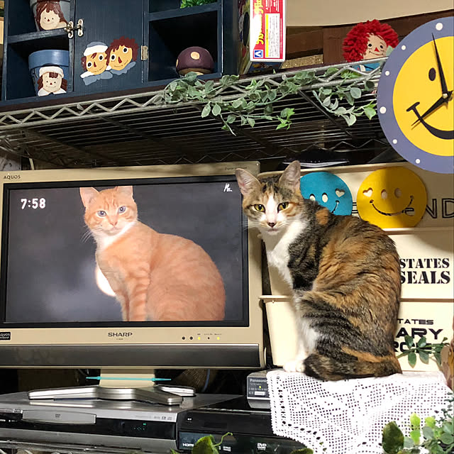 vivienne.coco-keiさんの実例写真