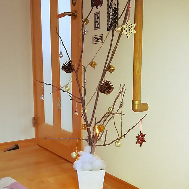 junujnunさんの実例写真