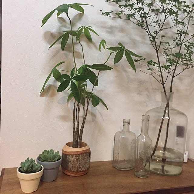 margoandcoさんの実例写真