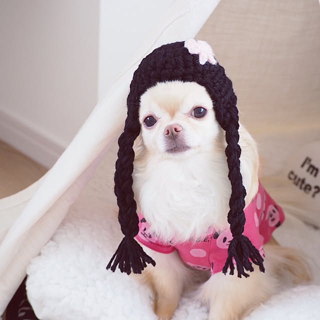 mariさんの実例写真