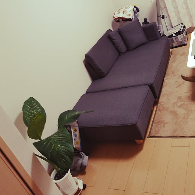 sasaさんの実例写真
