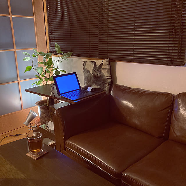 calmsweetsweetさんの実例写真