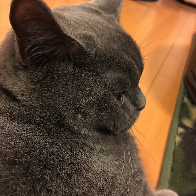 Shojiさんの実例写真