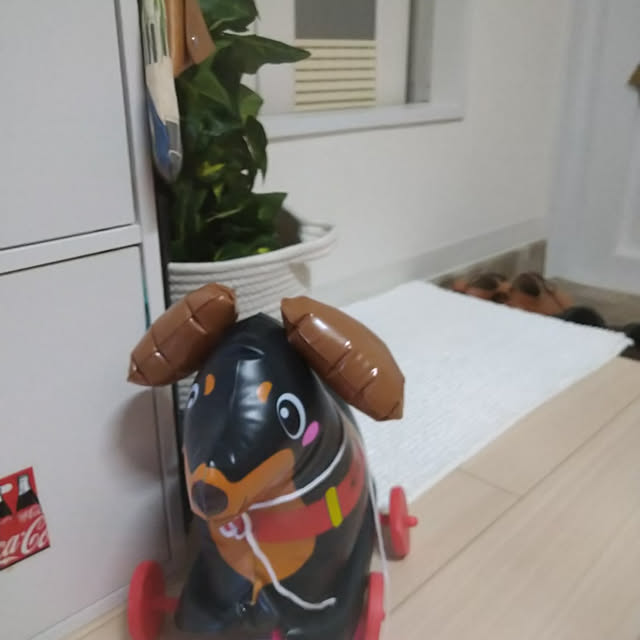 suzuneeさんの実例写真