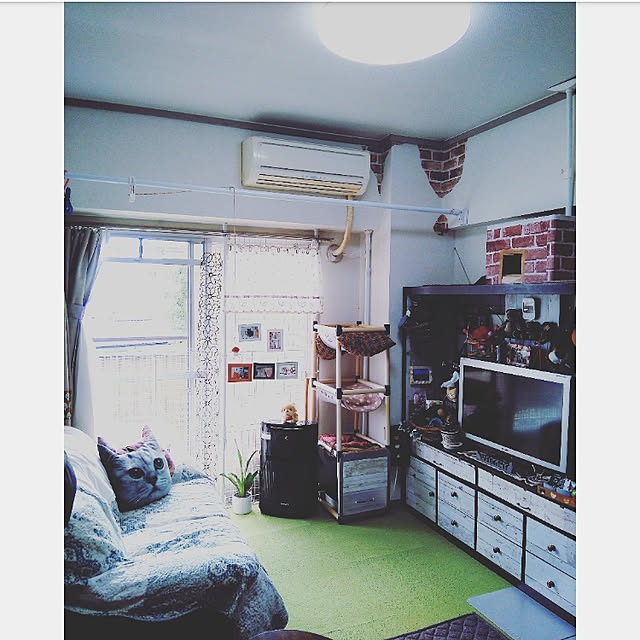 mntcさんの実例写真