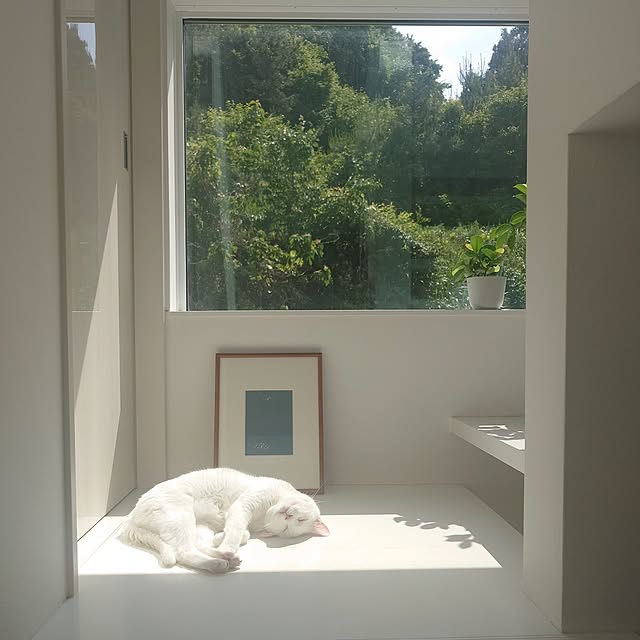 Blackcatさんの部屋