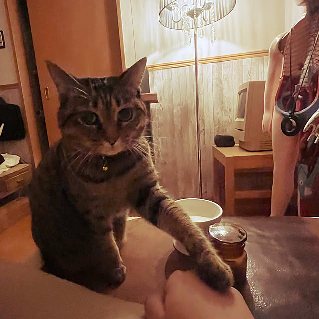 Mさんの部屋