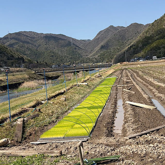 cotaさんの実例写真