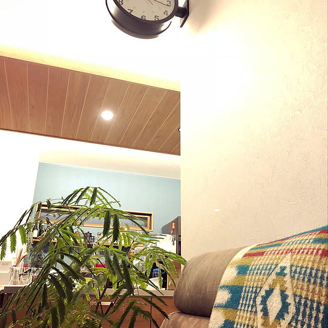 yocooさんの実例写真