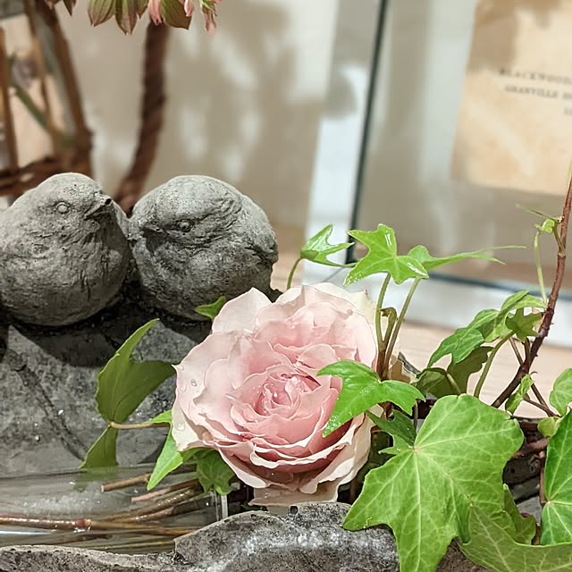 Sakura_hanaさんの部屋
