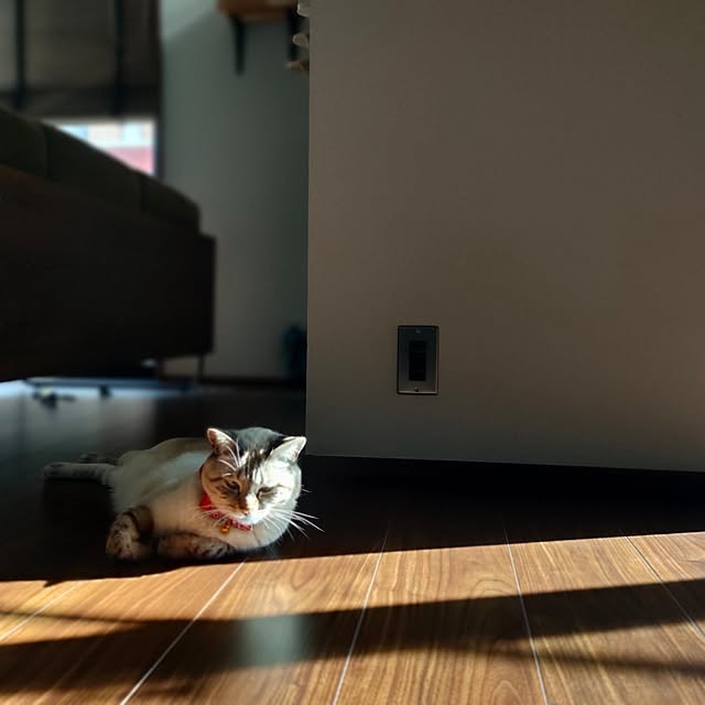 Atelier_tamakiさんの部屋