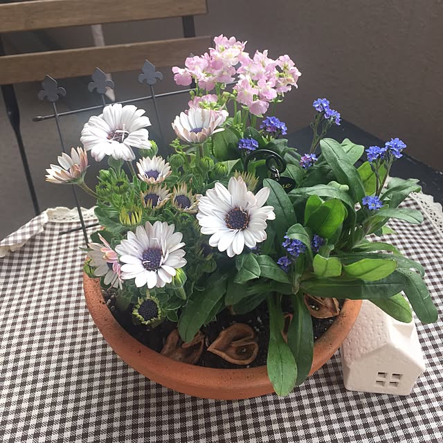 himawariさんの実例写真
