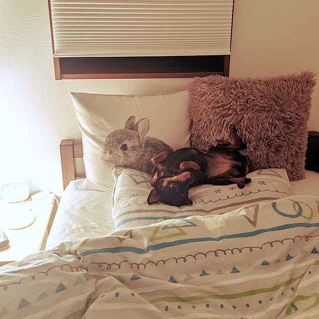 shizuponさんの実例写真