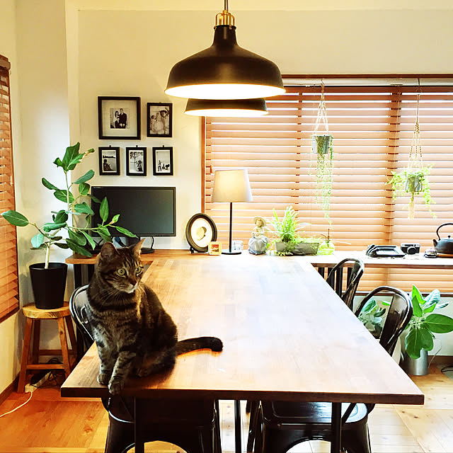 catsmamさんの実例写真
