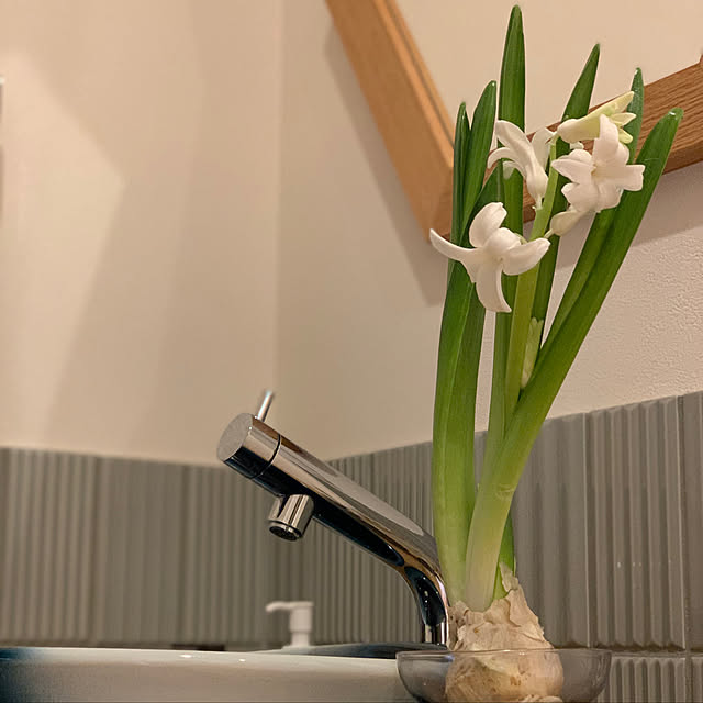 h_home.hさんの実例写真