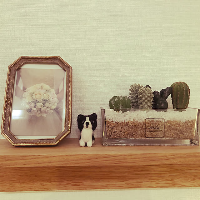 BCさんの実例写真