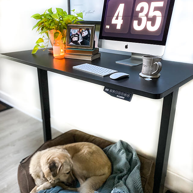 昇降デスク 電動 Flexispot EF1 天板100*60cm 昇降式テーブル 昇降デスク 電動 Flexispot EF1 天板100*60cm 昇降式テーブル