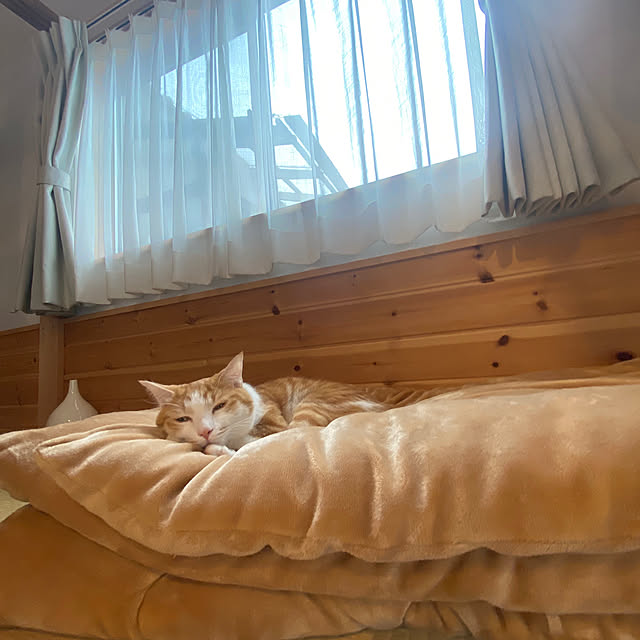senbei.sakuramochiさんの実例写真