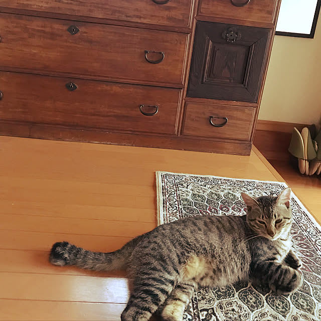 mikan161さんの実例写真
