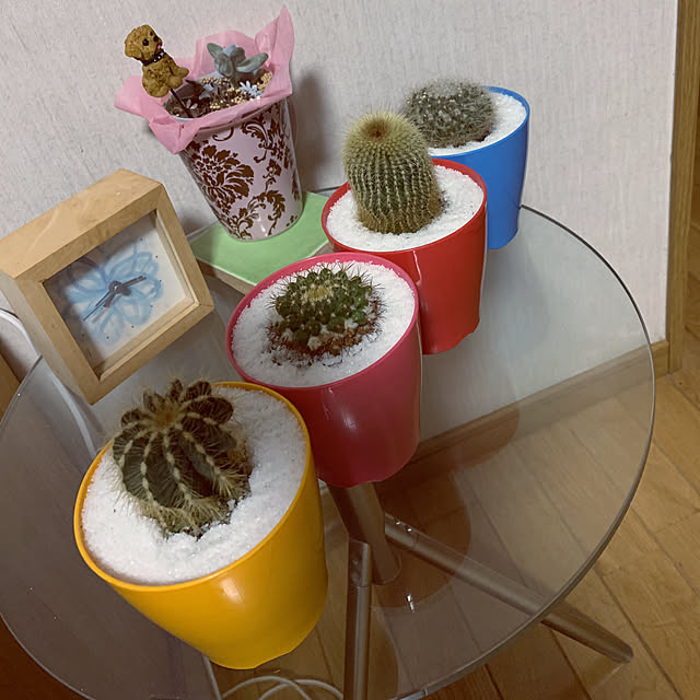 makizoさんの実例写真