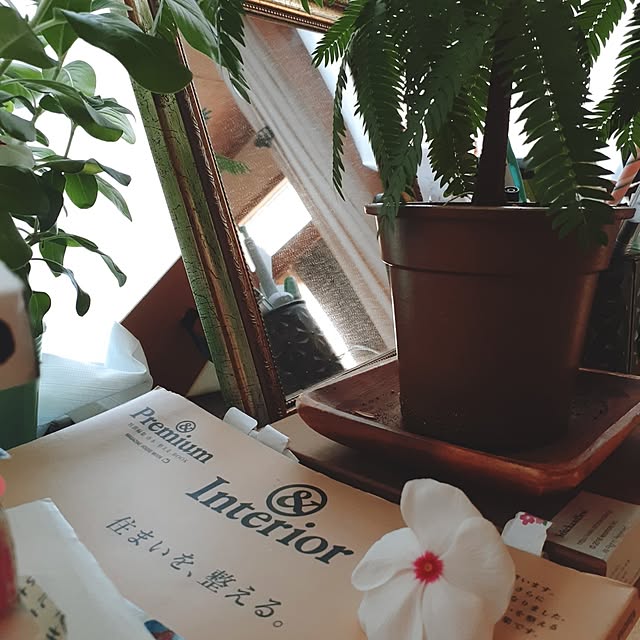 popoさんの実例写真