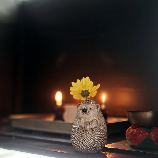 noaさんの部屋