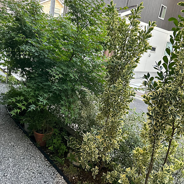 IRohaさんの部屋