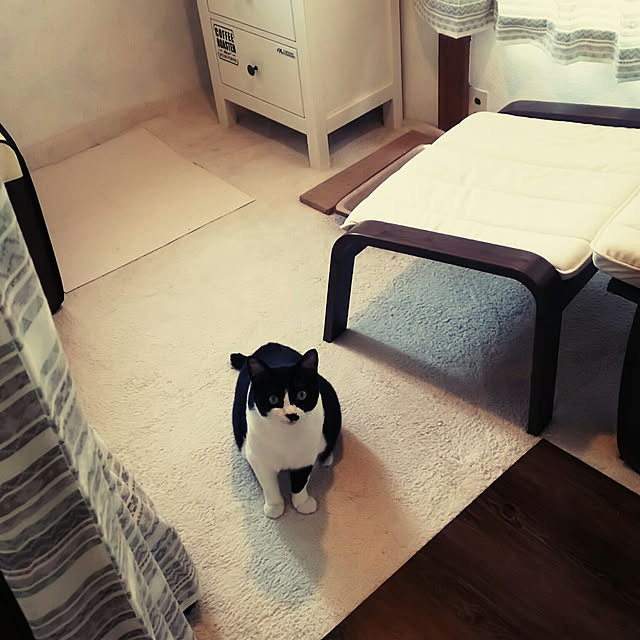 Eriさんの実例写真