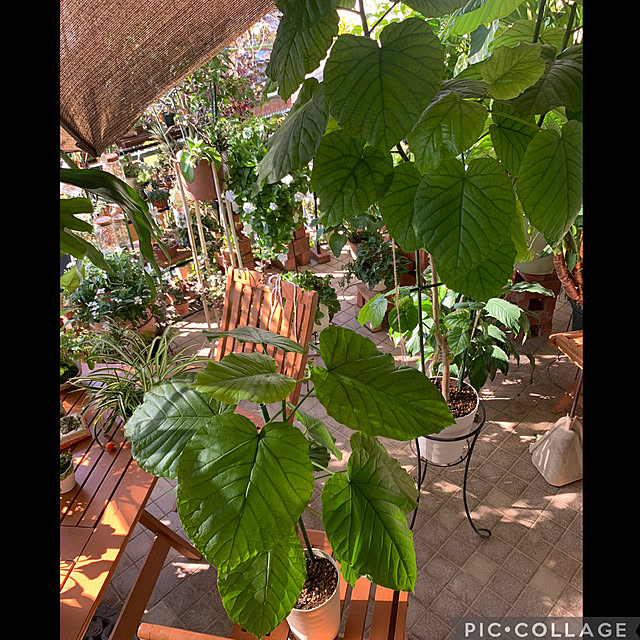 Aqettyさんの実例写真