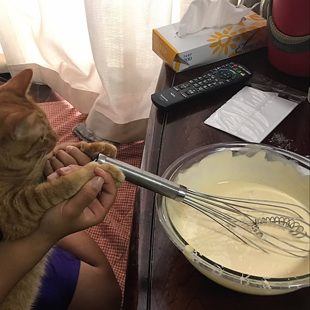 yoshi-yoshiさんの実例写真