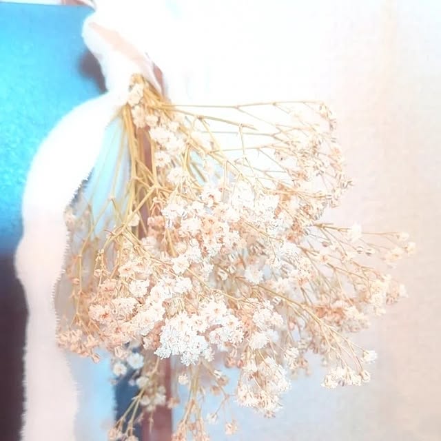 harumoeさんの実例写真