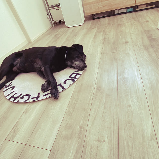 amamさんの実例写真