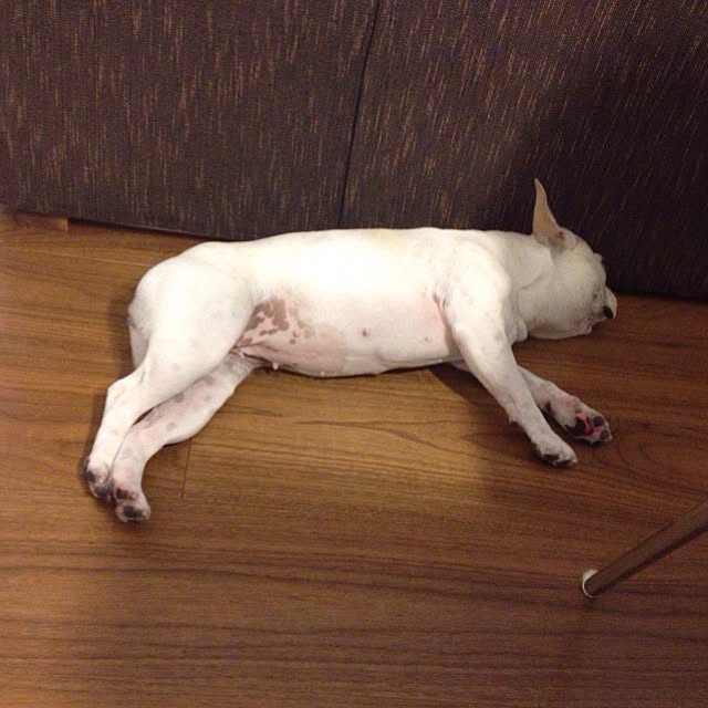 Komanechi.aさんの実例写真