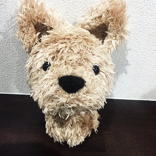 moriyamanekoさんの実例写真