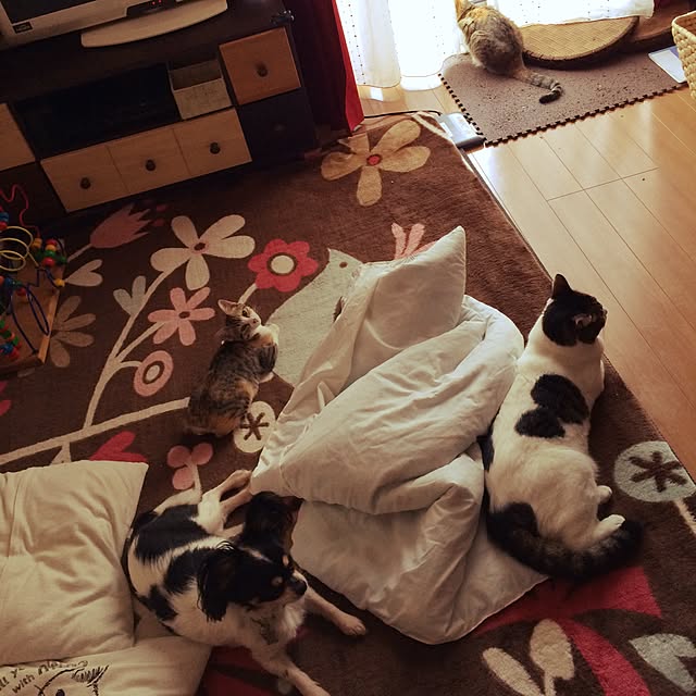 Mayさんの実例写真