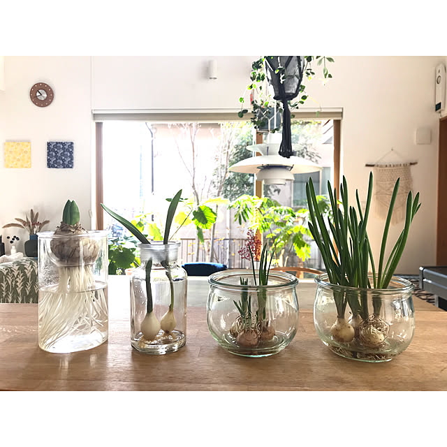 noriflowerさんの実例写真