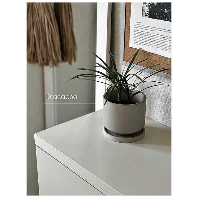 chiiiii0808さんの実例写真