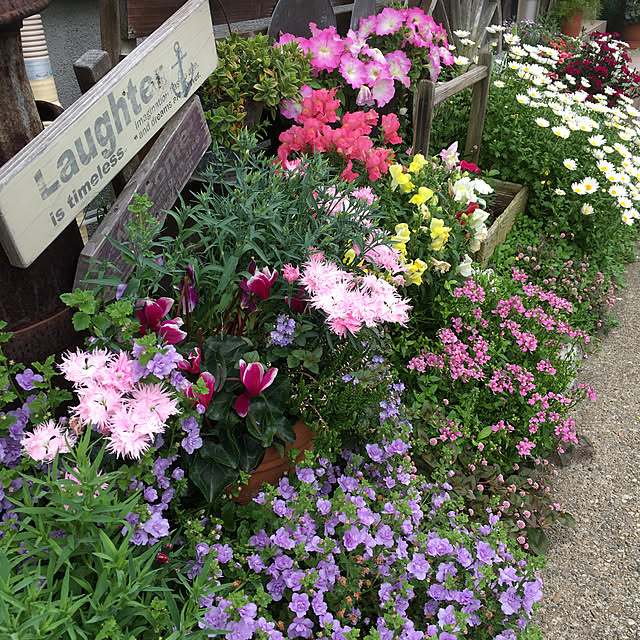 furu.さんの実例写真