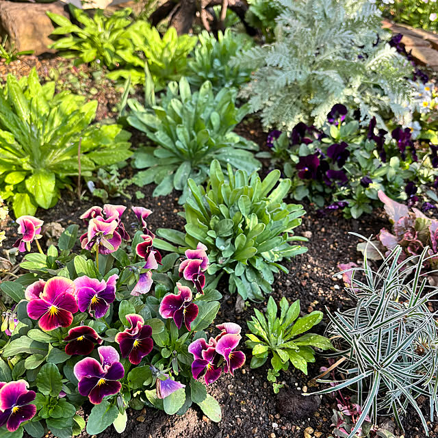 kyoko1124koさんの部屋