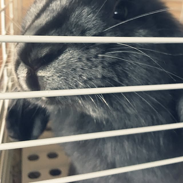 sayasさんの実例写真
