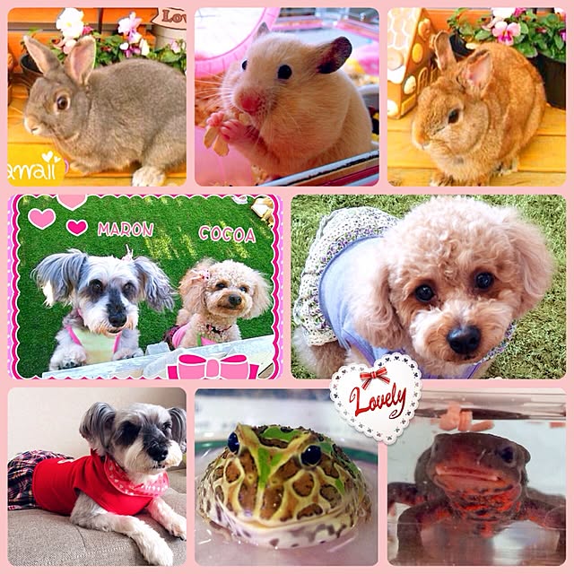 HappyRoseさんの実例写真