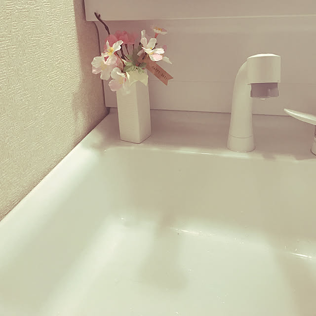 バス/トイレ/ダイソー/DIYのインテリア実例 - 2018-03-18 11:24:16