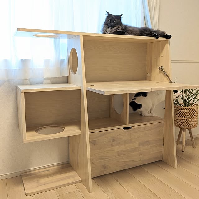 kumiさんの実例写真