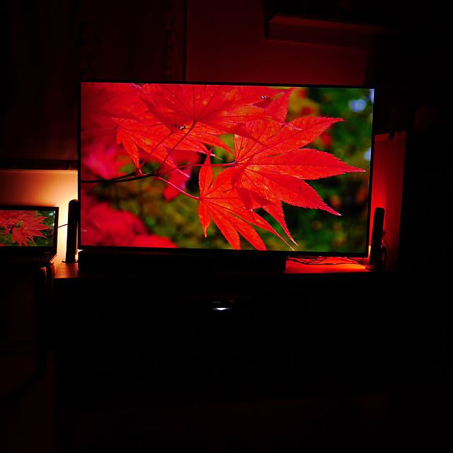 Philips_Hueさんの実例写真