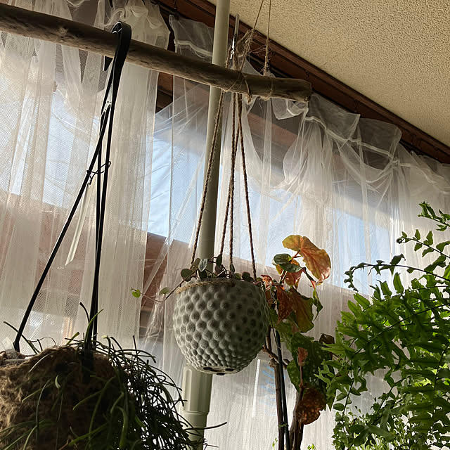 ganchan_0910さんの部屋
