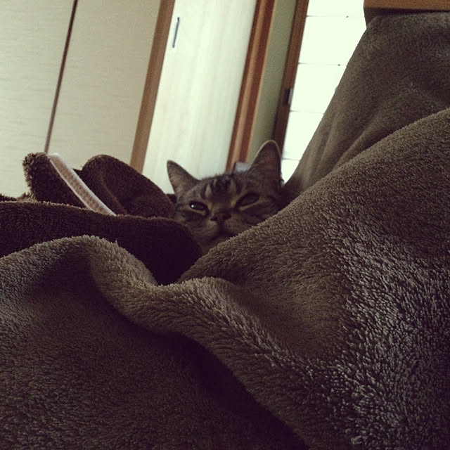 richanさんの実例写真